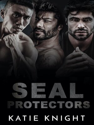 SEAL Protectors - ebook